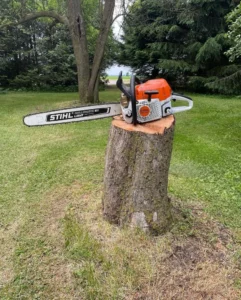 chainsaw on top of stump after tree has been removed 
