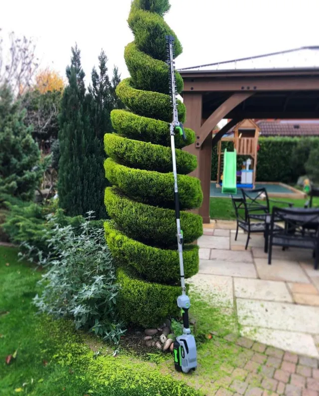 hedge being trimmed Eastbourne